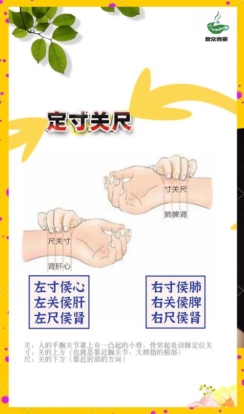 老中医摸脉看男女准吗