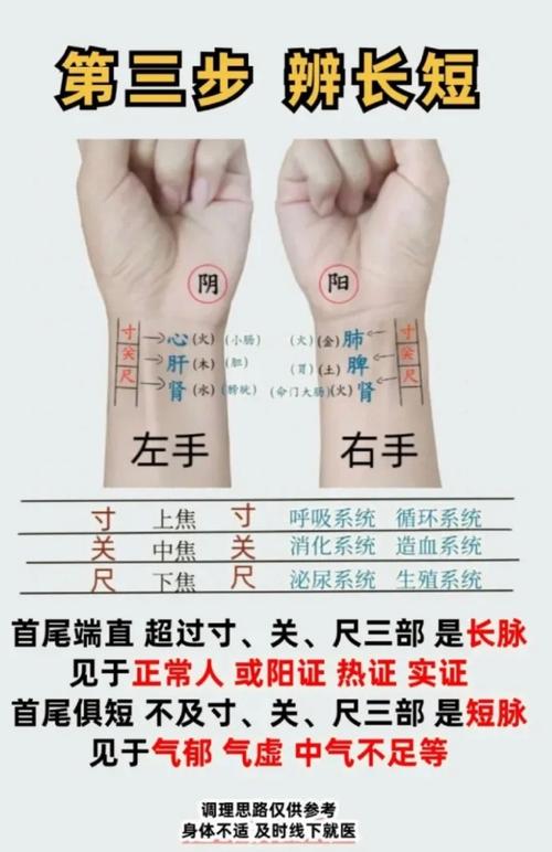 老中医摸脉看男女准吗