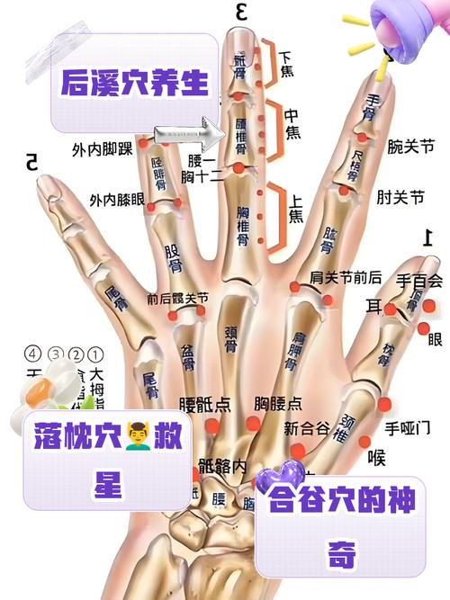 便秘 中医手部针炙穴位