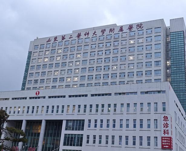 山东中医药二附院官网