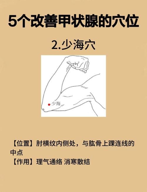 甲状腺囊肿针灸哪些穴位