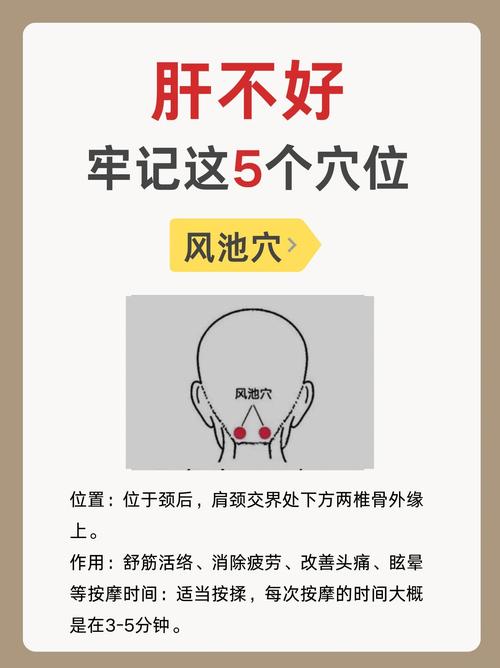 肝血不足 做梦 穴位