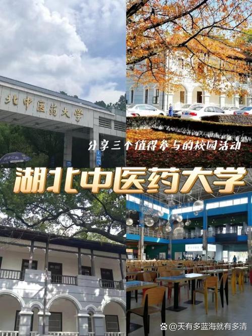 湖北大中中医院怎么样