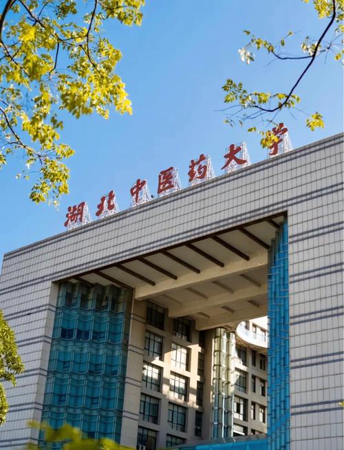 湖北大中中医院怎么样