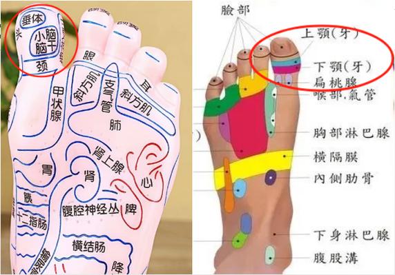 大脚拇指麻木 按摩穴位