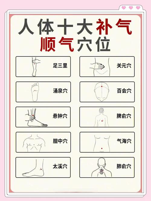 养生 每天按摩哪些穴位