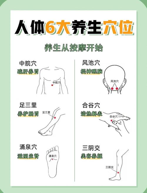 养生 每天按摩哪些穴位