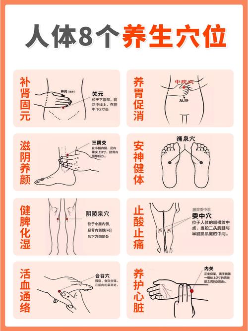 养生 每天按摩哪些穴位