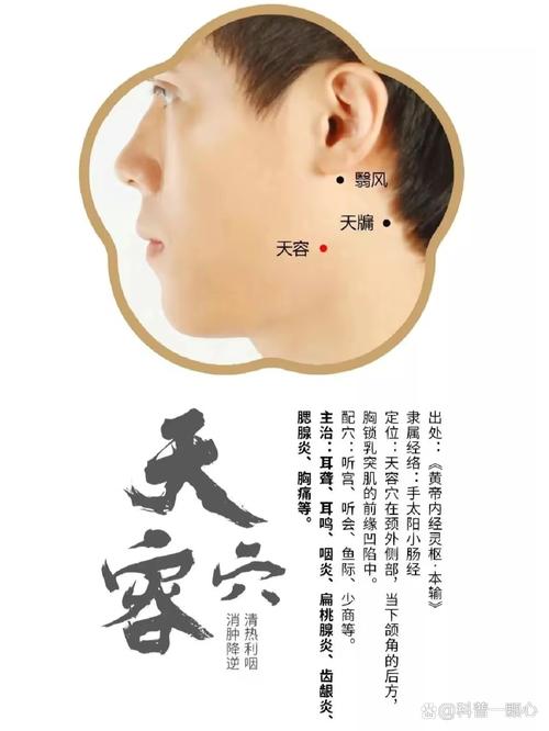 脖子受凉 按哪个穴位