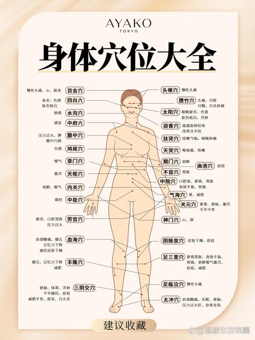 人体按摩穴位 迅雷下载