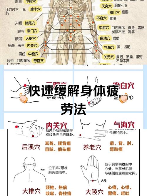 人体按摩穴位 迅雷下载