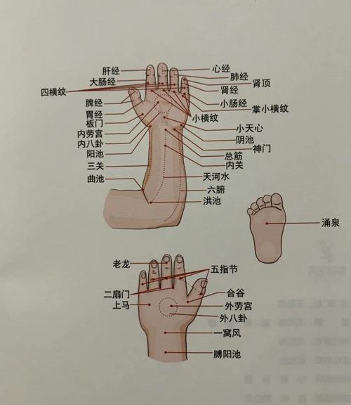 小儿多动症按摩什么穴位