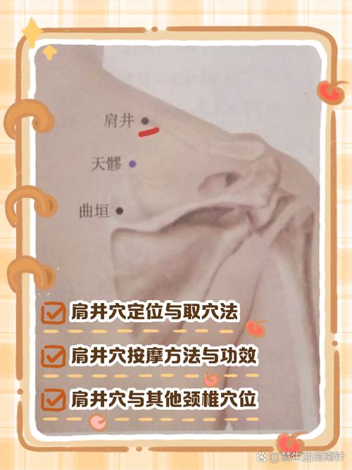 肩周炎哪个针灸穴位更好