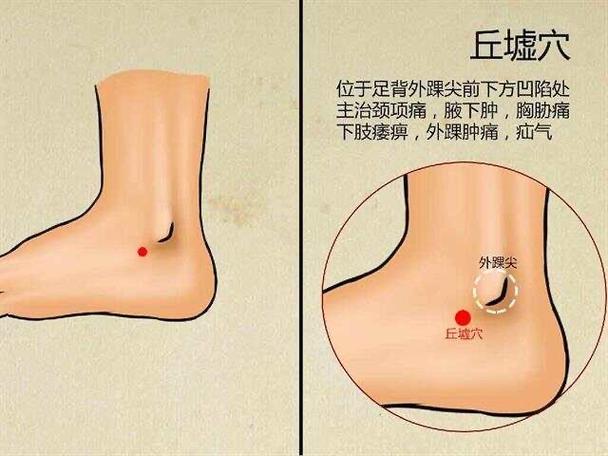 脚踝扭伤恢复 穴位分布