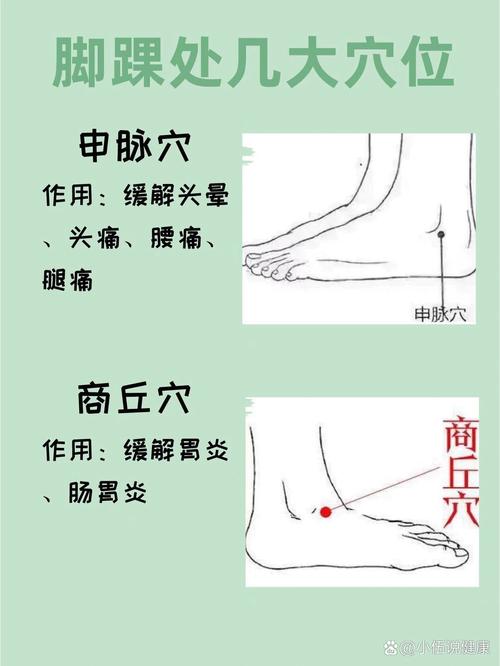 脚踝扭伤恢复 穴位分布