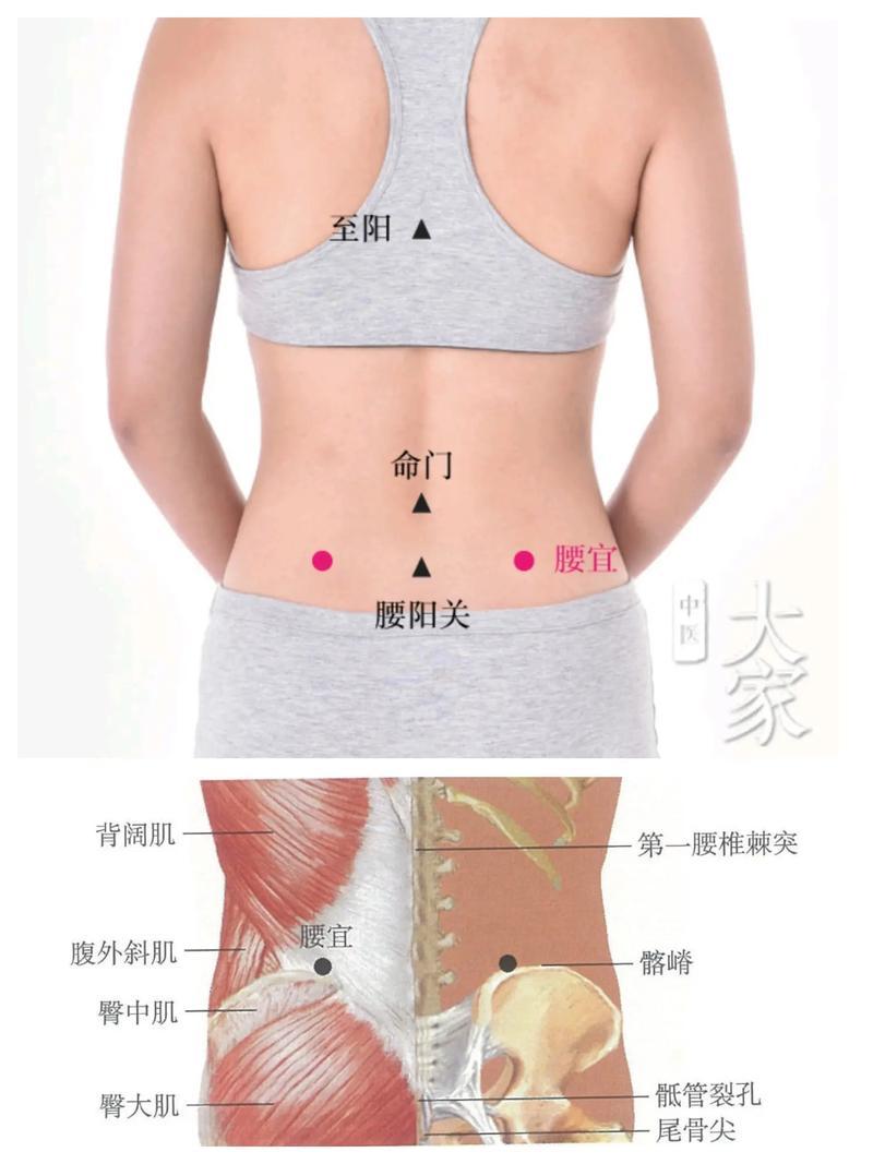 腰肌劳损穴位按摩 图文