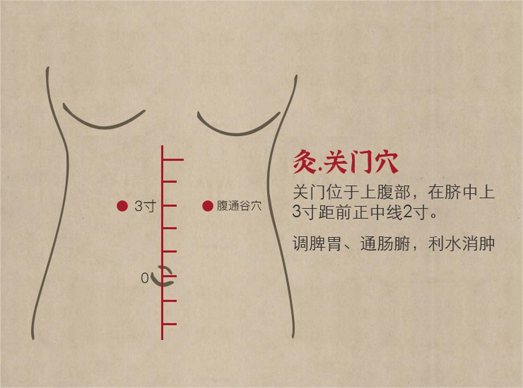 胃经第一个穴位是啥穴位