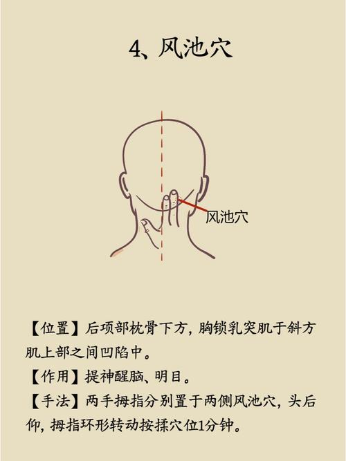 西医 近视 穴位 研究