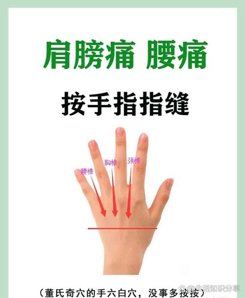 手背 颈椎 腰椎 穴位