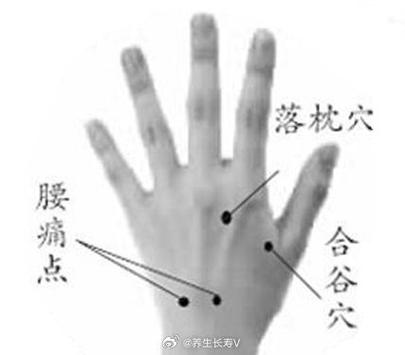 手背 颈椎 腰椎 穴位