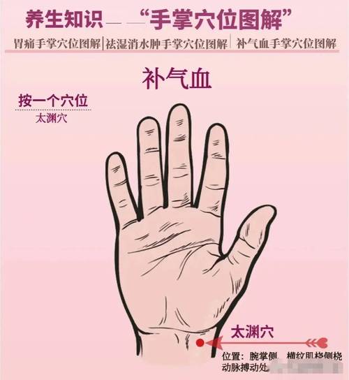 手掌 按摩 穴位 对照