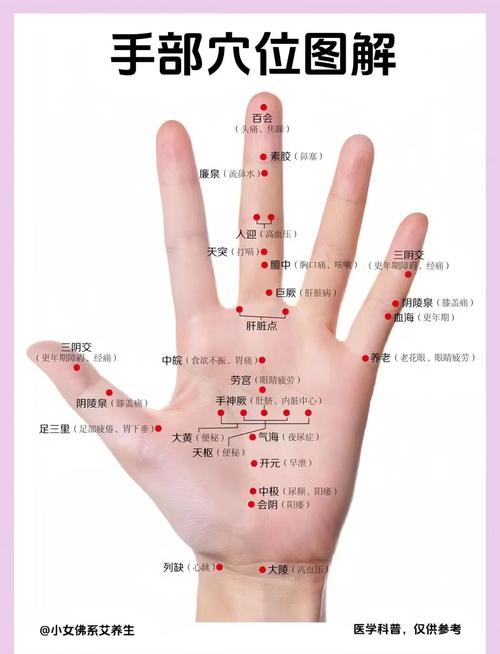 手掌 按摩 穴位 对照