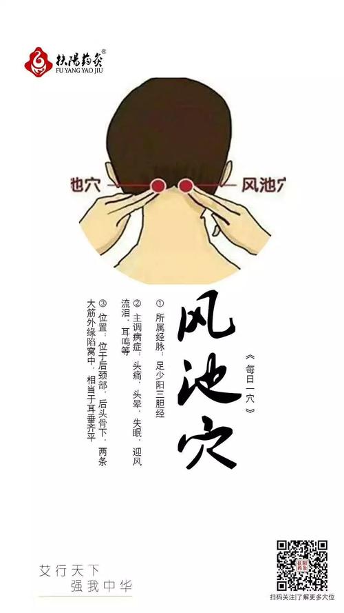 感冒 鼻塞 穴位 风池
