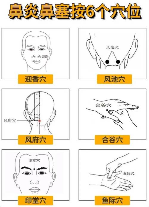 感冒 鼻塞 穴位 风池