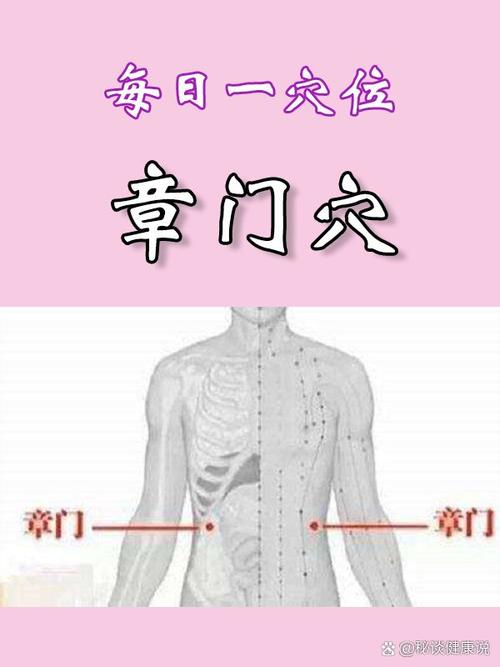 期门 章门 京门 穴位
