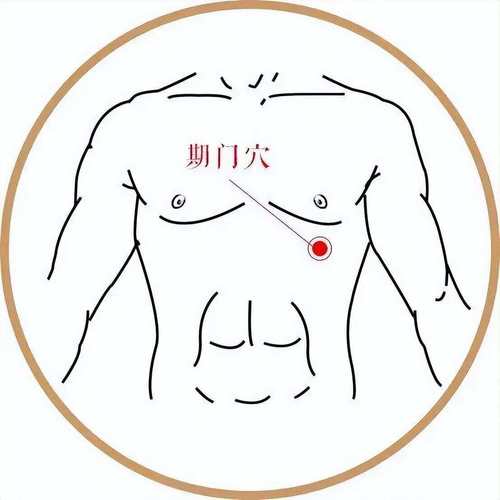 期门 章门 京门 穴位