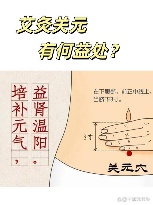 水道 关元 中极 穴位