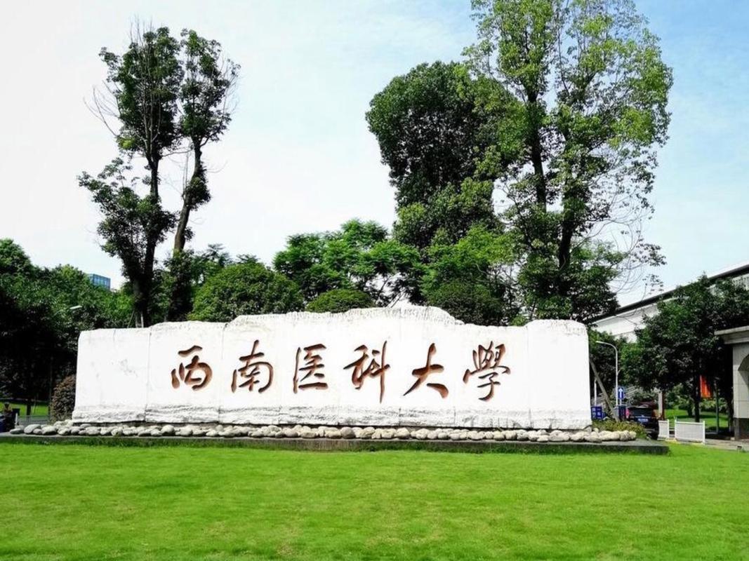 西南医科大学中医医院
