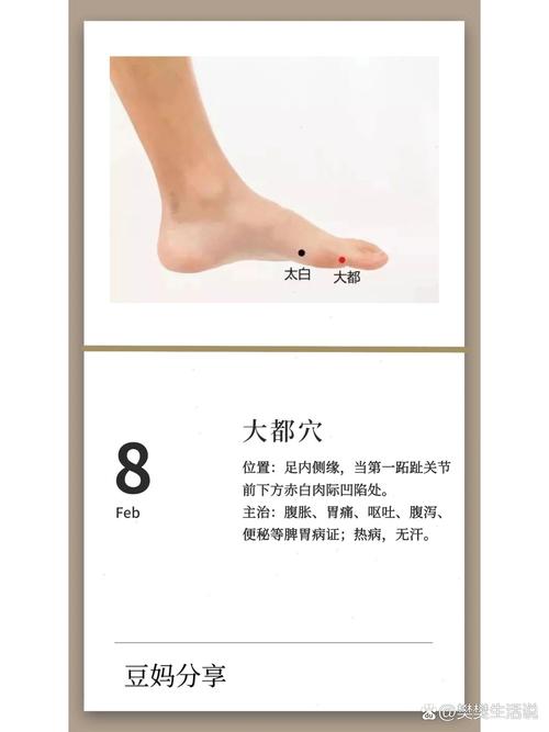 人体穴位-大都穴