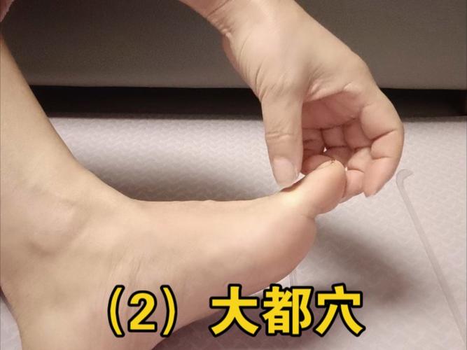 人体穴位-大都穴