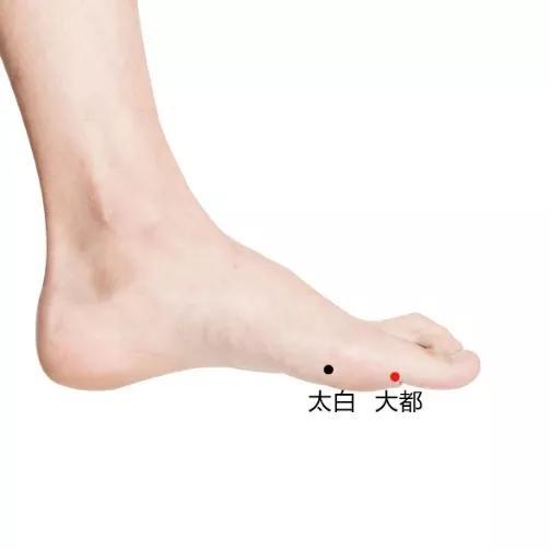 人体穴位-大都穴
