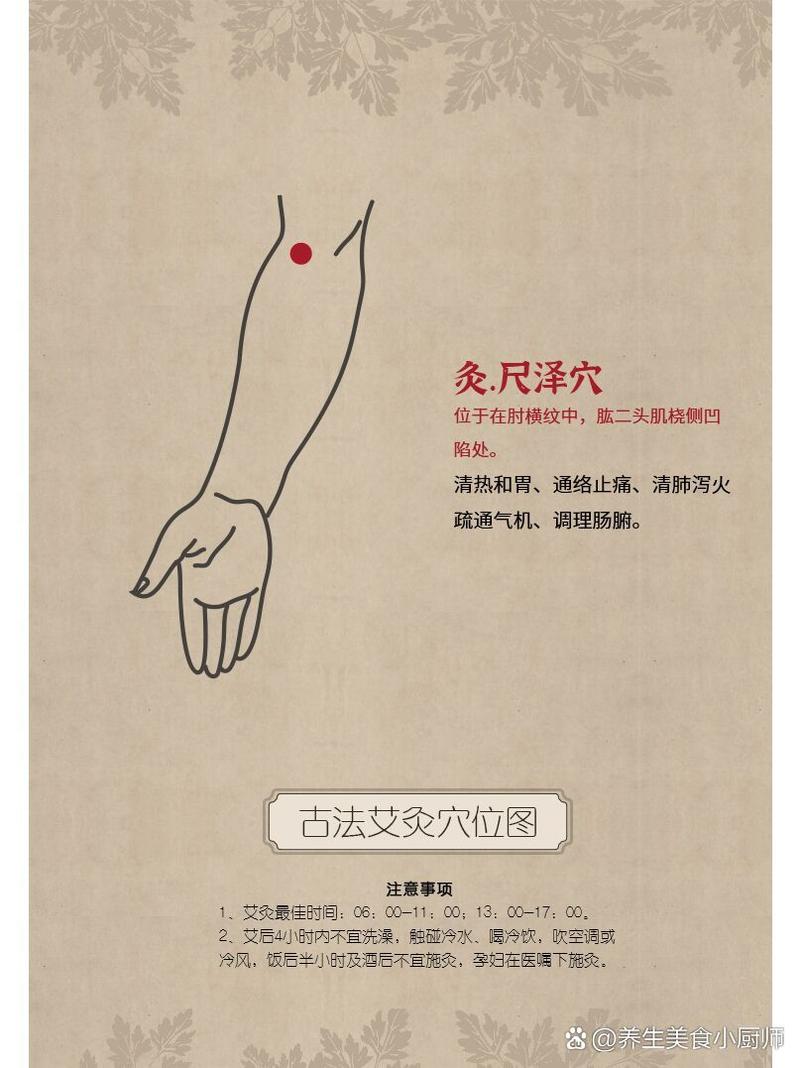 手臂关节 尺泽 穴位