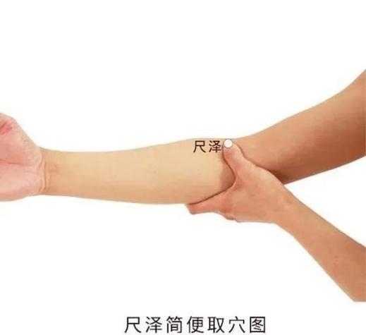 手臂关节 尺泽 穴位
