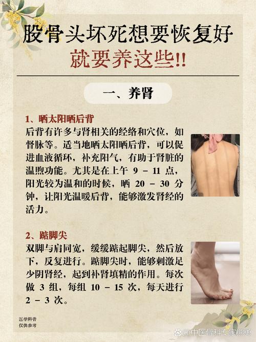 老中医谈股骨头的治疗