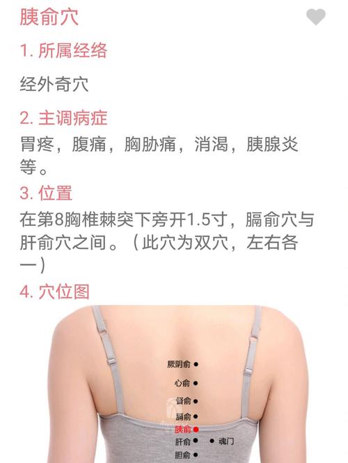 胰腺 黄疸 按摩 穴位