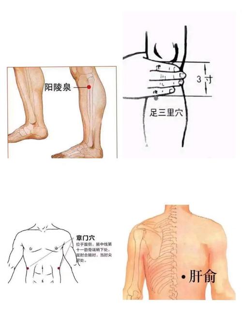胰腺 黄疸 按摩 穴位
