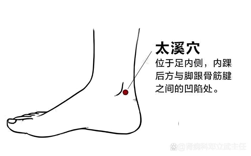 穴位 腰背委中求