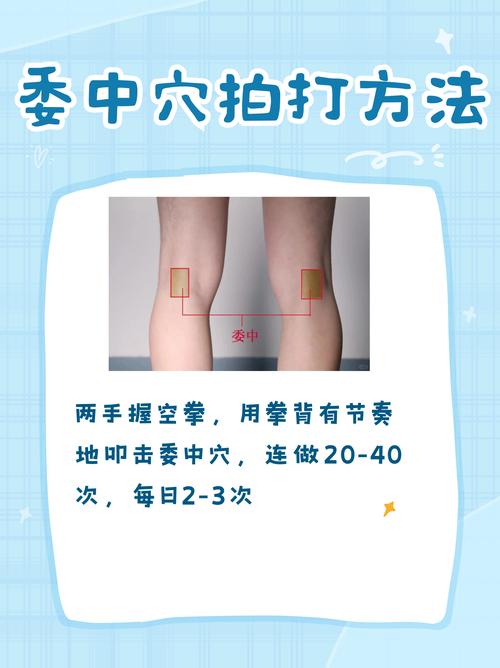 穴位 腰背委中求