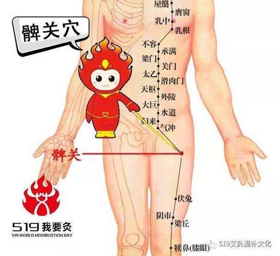 髀关 穴位 简单 准确