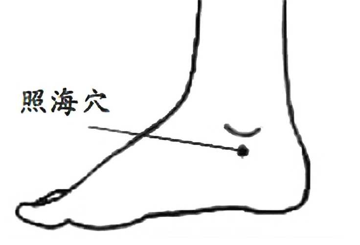 中极 阴陵泉 照海穴位