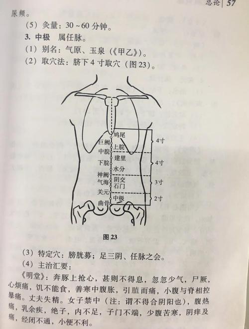 中极 阴陵泉 照海穴位