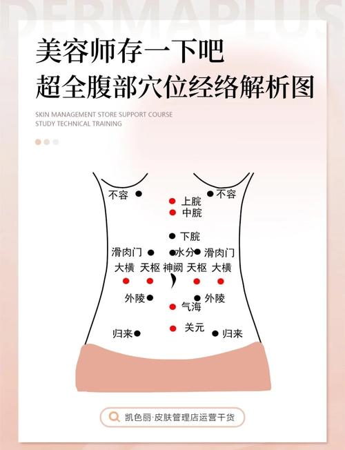 人体 小腹 附近 穴位