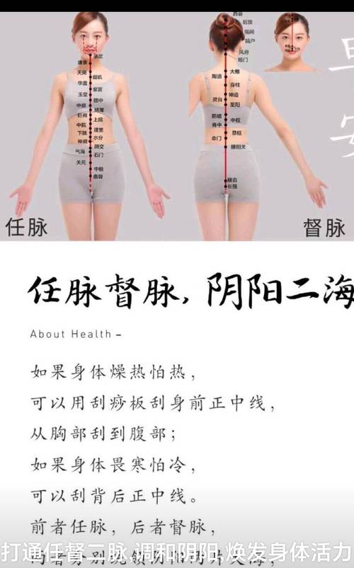 任脉穴位图 大树