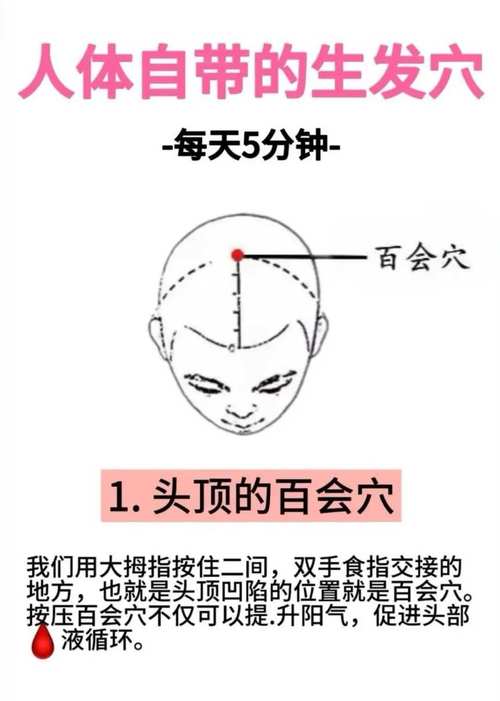 按摩 头部 穴位 生发