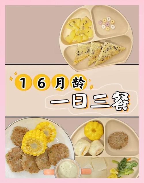 17个月宝宝一天饮食安排