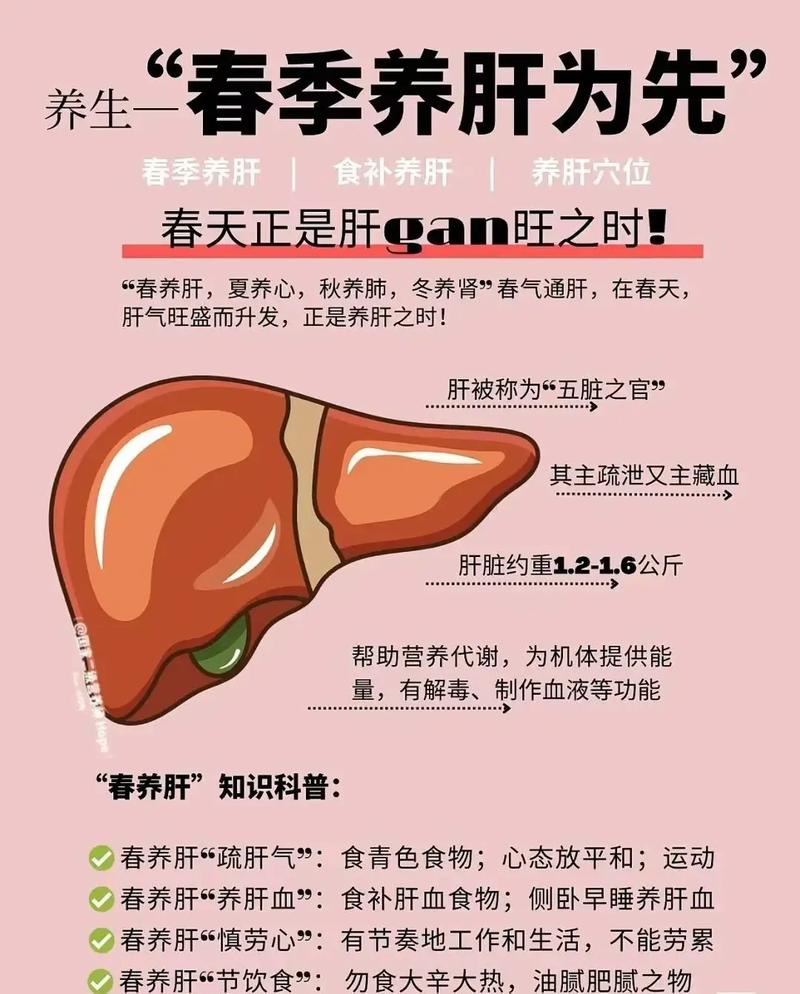 春天养肝护肝的方法和饮食
